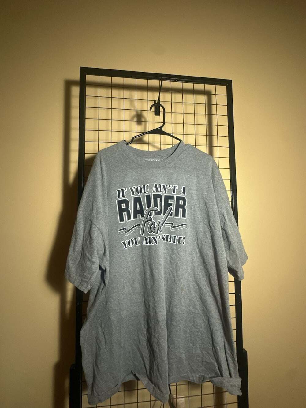 Nike Las Vegas Raiders 'If You Ain't A Raider Fan You Ain't Shit' Graphic T-Shir